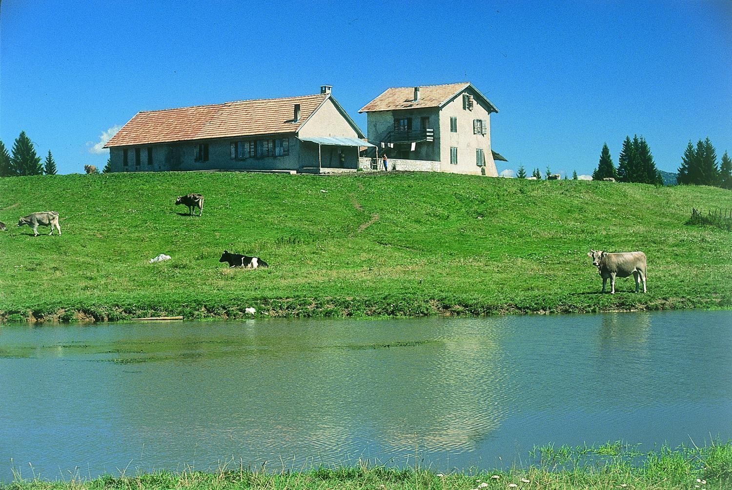 Alaska Clubresidence Folgaria Exterior photo